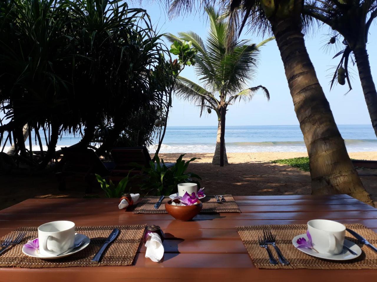 Arcade Beach Hotel Bentota Exterior photo